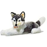 Steiff Cosy Friends: 30" Bernie Husky