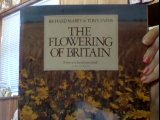 The flowering of Britain