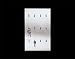 Kitchen & Housewares : Georg Jensen Mem Key Rack