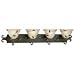 Progress Lighting Eden Forged Bronze Four-Light Bath Fixture