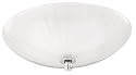 Hunter 82021 Tribeca Bathroom Fan with Light, Brushed Chrome