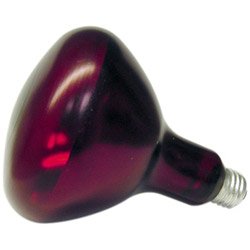 250 Watt Red Coated Heat Lamp (10-0778) Category: Heat Lamps, Food Warmers and Accessories by Shat-R-Shield Inc
