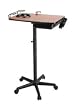 Kayline FT-310 Salon Service Tray
