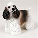 Cocker Spaniel, Brown/White Original Dog Figurine (4in-5in)