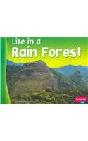 Life in a Rain Forest (Living in a Biome)