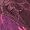 Pink Mix