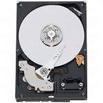 WESTERN DIGITAL 3.5C`HDD 500GB Serial-ATA3.0Gb 7200rpm 16MB 320GB/1platter WD..