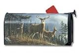 Whitetail Deer Mailbox Cover