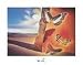 Paysage aux Papillons, c.1956 by Salvador Dali 14 x 11 Poster - Framing Options Avail...