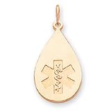 14k Medical Jewelry UnEnameled Pendant
