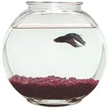 Plastic Fish Bowl - Drum - 1/2 Gallon