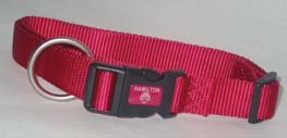 Adjustable Dog Collar - 3/8 in. x 7 to 12 in. - Raspberry