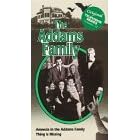 Addams Family:Amnesia/Thing Is Missin [VHS]