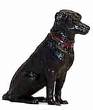 HUNTER DAN HANK LABRADOR RETRIEVER JUST HANK