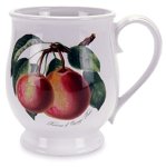 Portmeirion Pomona Earthenware 14-Ounce Bristol Tankard Mug, Set of 6
