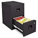 SENTRY Fire-Safe 2-Drawer Insulated Vertical File, 17-1/4w x23-1/4d x 28h, BLK (Case of 2)