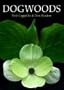 Dogwoods: The Genus 