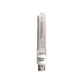 Profoto 102002 250 with 120V Halogen Lamp for Acute2 Heads