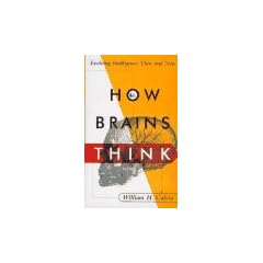 How Brains Think: Evolving Intelligence, Then and Now