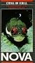 Cities of Coral [VHS]