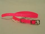 HAMILTON BUCKLE NYLON DOG COLLAR HOT PINK 1 3 8 X 10 - B0006G502Q