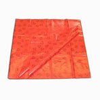 Red Teddybear Splashmat
