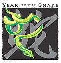 Asian Zodiac T-Shirt, Framed Poster, Watch, Coffee & Tea Mug, Gift Card & Key Chain Year of the Snake