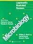 Lippincott's Illustrated Reviews: Microbiology
