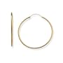 14k Yellow Gold 1" Medium (M) Size Hinged Endless Hoop Earrings, Hypo-Allergenic