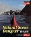 Natural Scene Designer