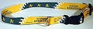 New! Medium Oakland Athletics Dog Collar