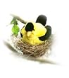 American Goldfinch - Audubon Plush Bird (Authentic Bird Sound)