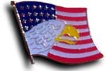 USA Eagle - Wavy - Other Lapel Pins