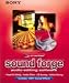 Software : Screenblast Sound Forge