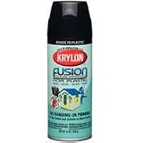 Krylon 2321 Fusion Spray Paint, Black