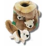 Hide-A-Squirrel Junior