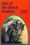 SON OF THE BLACK STALLION