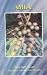 Andrographis Paniculata Wall Ex. Nees, Kalmegh, Family ; Acanthaceae by Dina Nath Tewari