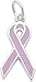 Rembrandt Charms Breast Cancer Charm