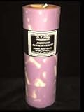 21S3eF1pShL. SL160  Soy Pillar Candles