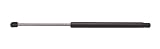 StrongArm 6165 Hatch Lift Support for Buick Enclave