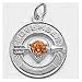 Jewelry : Birthday November Charm