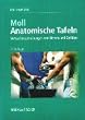 Anatomische Tafeln: Verlaufsbeschreibungen von Nerven und Gef��en