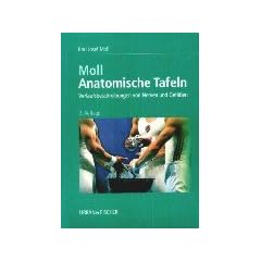 Anatomische Tafeln: Verlaufsbeschreibungen von Nerven und Gef��en