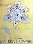 Mondrian: Flowers