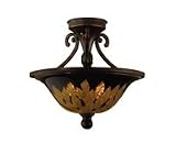 22214 - Semi Flush Ceiling Fixtures