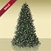 On Sale! 7.5 Adirondack Evergreen Outdoor Artificial Christmas Trees with LED lights PLUS eligible for Free Shipping! On Sale! 7.5 Adirondack Evergreen Outdoor Artificial Christmas Trees with LED lights PLUS eligible for Free Shipping!