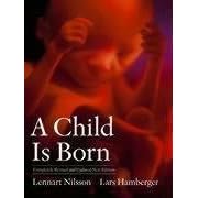 A Child is Born