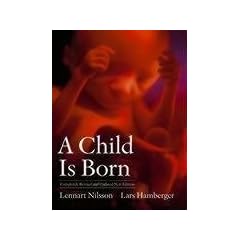 A Child Is Born