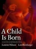 A Child Is Born